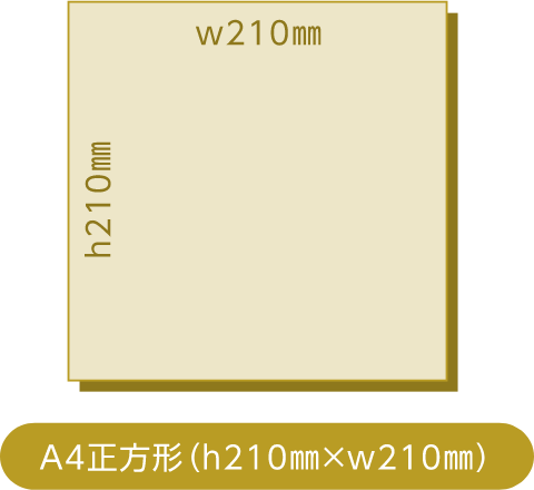 A4正方形（h210㎜×w210㎜）