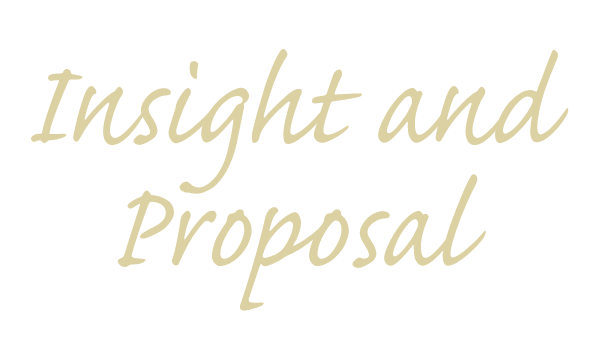 Insight and Proposal