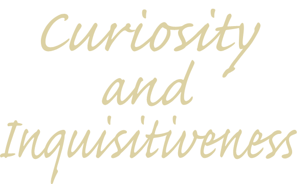 Curiosity and Inquisitiveness