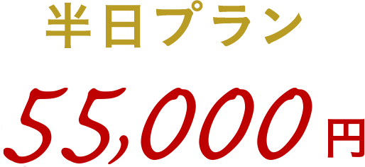 半日プラン 55,000円