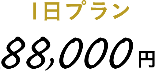 1日プラン 88,000円