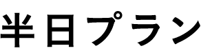 半日プラン