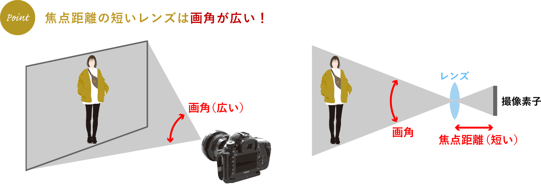 （Point）焦点距離の短いレンズは画角が広い！