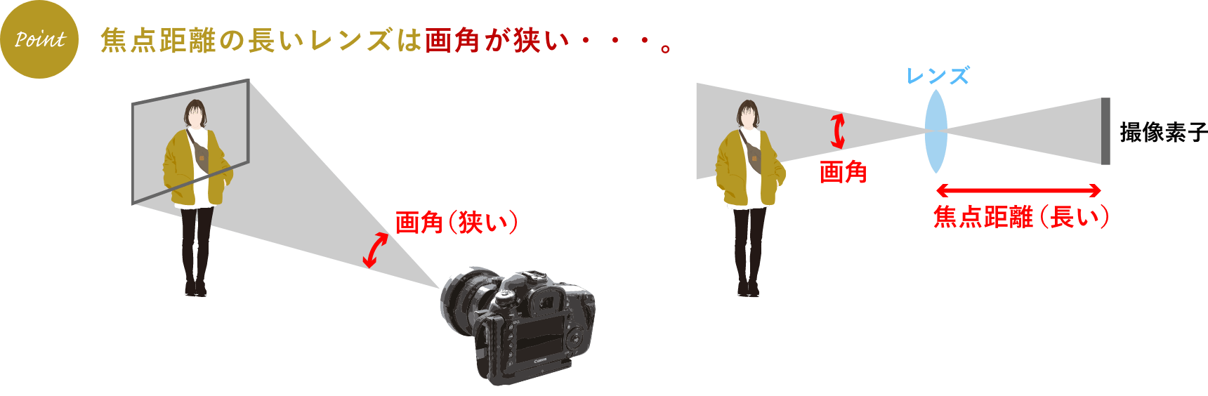 （Point）焦点距離の長いレンズは画角が狭い…。